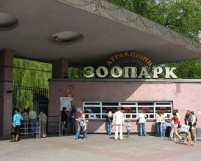 Киевский зоопарк просит приносить игрушки для животных 