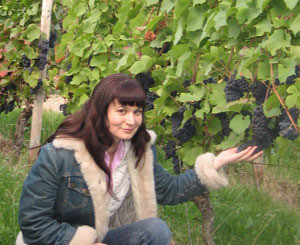 В Крыму вырастили гигантский виноград 