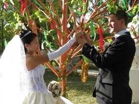 В Евпатории «зацвело» свадебное дерево 