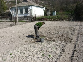 Поля Крыма остались без полива 