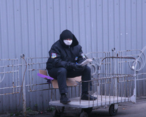 К борьбе со свиным гриппом подключилась крымская милиция 