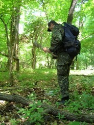 В Крыму среди елок нашли две гранаты 