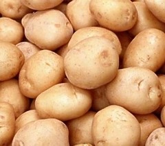 Крым стал «картофельным рекордсменом» 