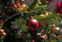 В Крыму елки зажгут 19 и 25 декабря 