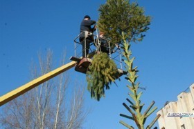 Из-за непогоды елки в Керчи устанавливают позже, чем обычно 