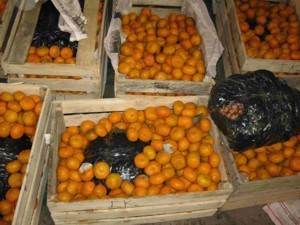 В грузинских мандаринах прятались орехи-нелегалы 