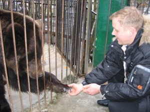 В зоопарке «Сказка» родились медвежата 