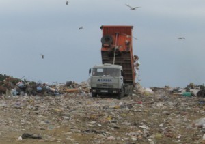 Севастополь спасут от мусора 