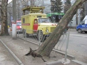Упавшее дерево блокировало движение в Симферополе 
