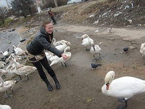 Севастопольские лебеди к лету захлебнутся в нефти?  