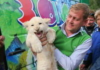 Парк львов в Белогорске откроется через 2 года 