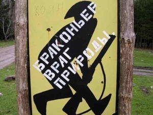 Близ Приморского задержали браконьера с крабами 