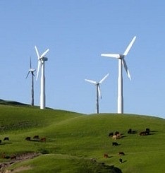 На строительство ветряков «забронировали» более полтысячи гектаров 