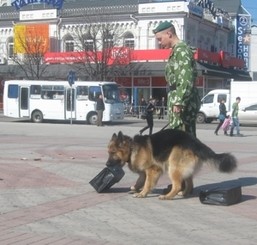 Крымские пограничники устроили стрельбу в Симферополе  
