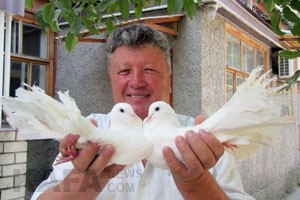 На стадион Феодосии «слетятся» голуби со всего Крыма