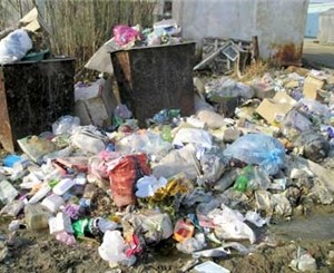 Уборка мусора в Севастополе станет заметной через 3 года 
