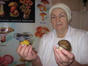 В Крыму появились грибы-мутанты