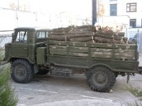 В Крыму «черные лесорубы» уничтожили сотню дубовых деревьев