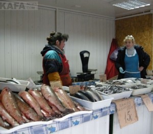 Теплолюбивые рыбы не хотят уплывать от берегов Крыма