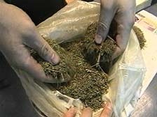У крымчанина нашли 18 кило «травки»
