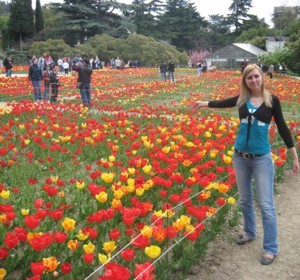 Никитский сад откроет новый сезон «тюльпановой феерией»