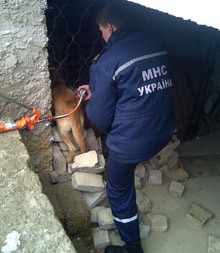 В Евпатории спасатели поспешили на помощь собаке