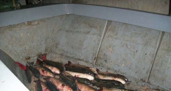 В Керчи у браконьеров отобрали центнер рыбы