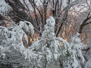 На выходные в Крыму  обещают снег