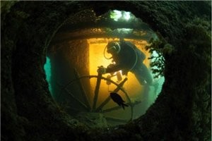 В Ялте раскроют тайны подводного мира 