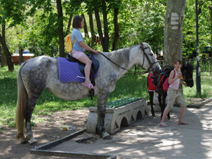 В Севастополе наездница на лошади сбила подростка
