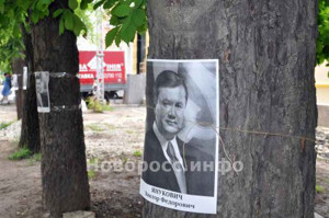 В Симферополе на уцелевшие деревья наклеили портреты Януковича