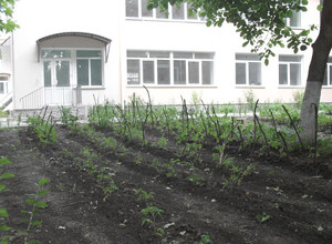 Детсад Симферополя строят за счет продажи помидоров и огурцов
