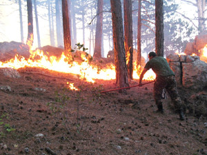 В Ялте всю ночь спасатели боролись с пожаром в лесу