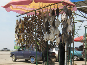 В Керчи запретили продавать рыбу и креветки