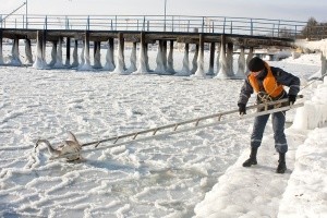 Евпаторийцы спасли вмерзшего в ледяное море лебедя