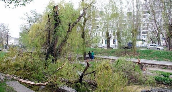 В Симферополе уже есть две жертвы урагана