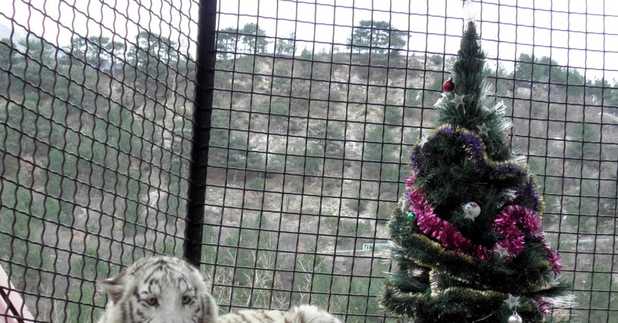 Зверям в крымских зоопарках готовят новогоднее меню