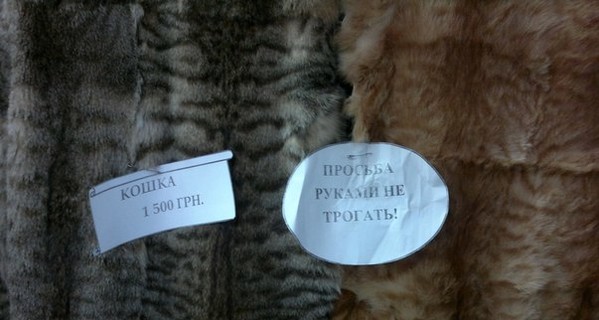Даже после скандала в Симферополе продолжают торговать шкурками котов