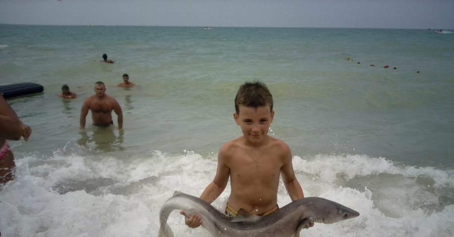 В Крыму пляжники фотографировались с выброшенной на берег акулой, пока та не умерла