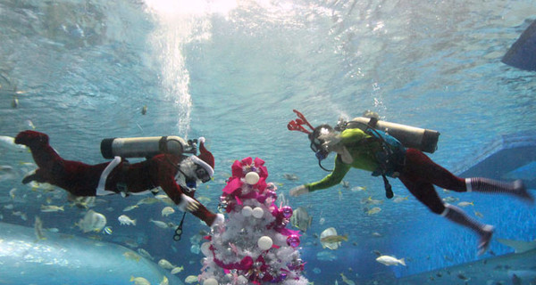 Крымские дайверы зовут отметить Новый год под водой