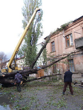 100 млн. гривен - приблизительный ущерб, причиненный Крыму стихией  