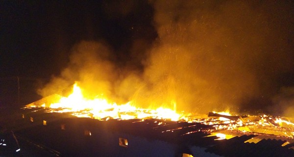 Из-за пожара на киевской ферме погибли семь тысяч кур
