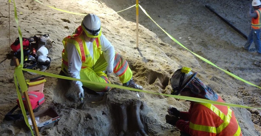 В Лос-Анджелесе под метро нашли кости мастодонтов