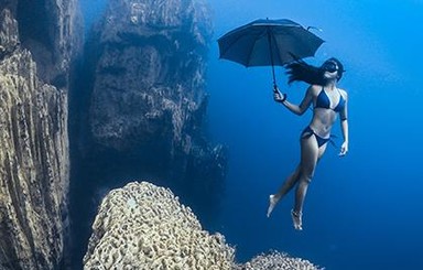 Лучшие фотографии подводного мира за 2017 год
