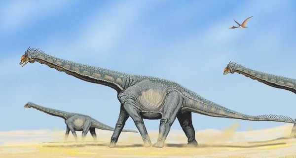 В Австралии нашли самый крупный в мире след динозавра