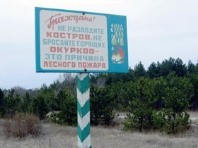 По всему Крыму горят леса и поля 