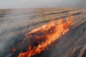 В крымских селах сжигают стерню  