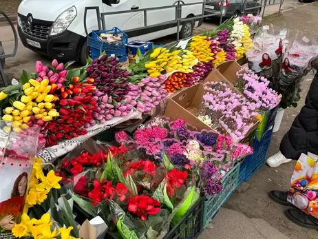 Самые дорогие тюльпаны – в Днепре, самые дешевые – в Житомире