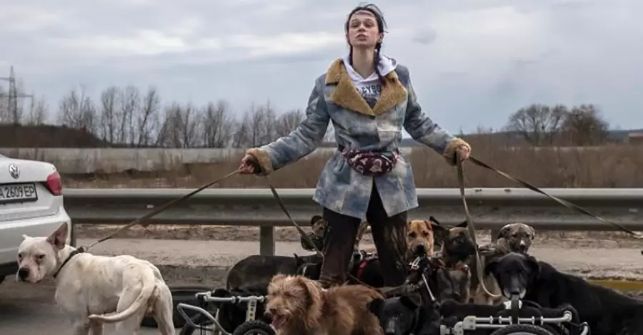 Зооволонтер із Ірпеня: Усі собаки-інваліди з фото, що облетіло світ, знайшли домівку