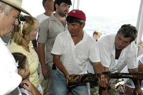 На дне Черного моря обнаружили винт старинного фрегата  